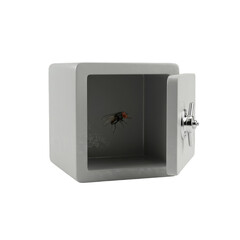 3D Render Open Safe Box With a Fly Security Concept