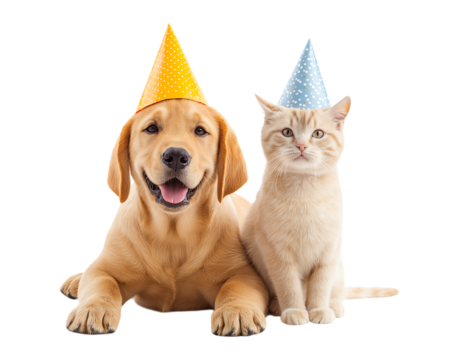 Happy, smiling puppy and cat wearing birthday hats isolated on a transparent background