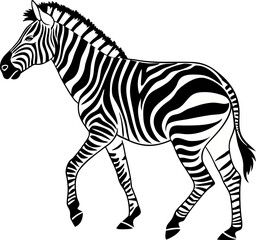 zebra vector illustration