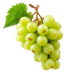 Fresh Bunch of Green Grapes with Leaf on White Background