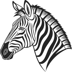 zebra vector illustration