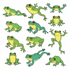 Obraz premium Green frogs in various poses, isolated on white