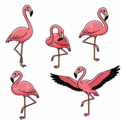 Pink flamingos in various poses, stylized bird collection
