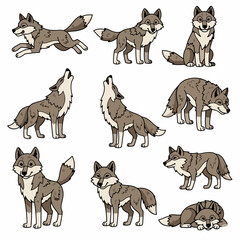 Wolf poses collection, various actions, animal set