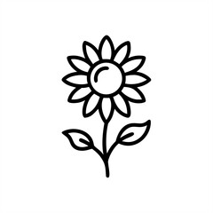 Sunflower Plant on transparent background for web and graphic design