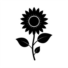 Sunflower Plant on transparent background for web and graphic design