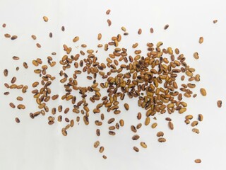A close-up of roasted soybeans scattered on a white background, showcasing their golden brown texture and crunchy appearance.