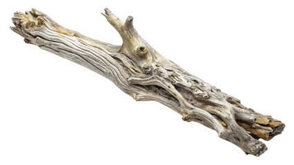 Fototapeta premium An intricately textured piece of driftwood lies against a white background, showcasing its natural patterns and hues, evoking a sense of tranquility and connection to nature.
