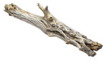 An intricately textured piece of driftwood lies against a white background, showcasing its natural patterns and hues, evoking a sense of tranquility and connection to nature.
