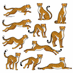 Obraz premium Cheetah poses collection, animal wildlife, running and resting