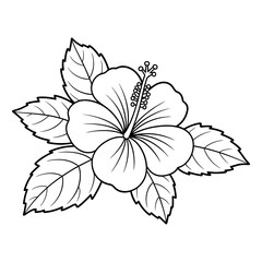 Hibiscus flower with leaves bloom petal