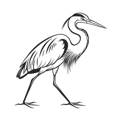 Obraz premium Elegant blue heron standing isolated on a white background, a majestic bird of the wild