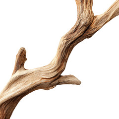Fototapeta premium Driftwood Corner Border Isolated on Transparent Background