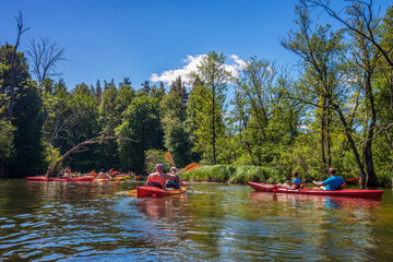 Mazury-river Krutynia in north-eastern Poland	