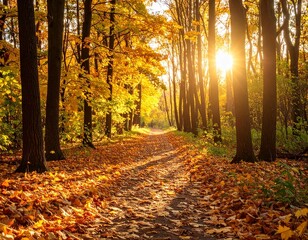 Obraz premium Autumn forest path with fallen leaves, golden hour light, vivid colors, no people