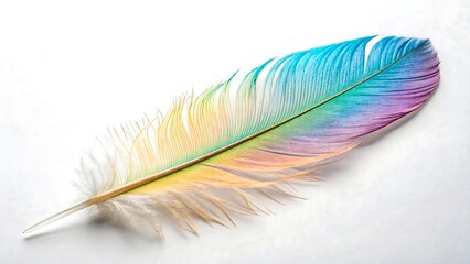 Colorful feather with soft gradient hues isolated on white background in minimal artistic style
