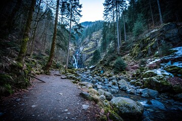 Obraz premium A pathway meanders through a mossy forest, leading to a cascading waterfall