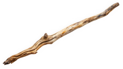 A beautifully weathered piece of driftwood, showcasing intricate natural patterns and rich textures. Perfect for rustic d�cor or craft projects.