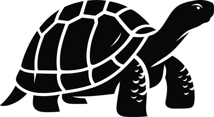 Tortoise vector illustration isolated on white background