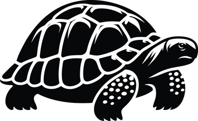 Tortoise vector illustration isolated on white background