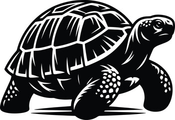 Tortoise vector illustration isolated on white background