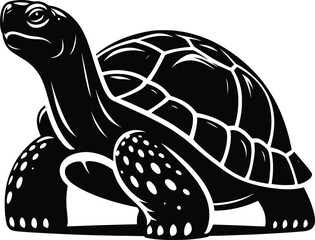 Tortoise vector illustration isolated on white background