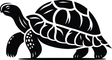 Tortoise vector illustration isolated on white background