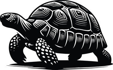 Tortoise vector illustration isolated on white background