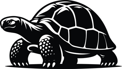 Tortoise vector illustration isolated on white background