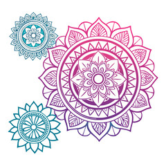 vector illustration of a mandala design berry & dark dewberry gradent color