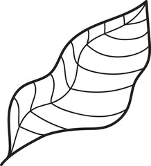 Leaf Pear Fruit Line Art Illustration