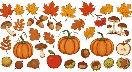 Autumn harvest set with pumpkins, leaves, acorns, and mushrooms in hand-drawn style