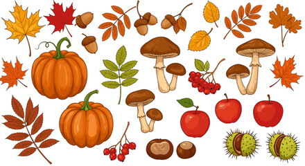 Autumn harvest elements with pumpkins, mushrooms, and leaves