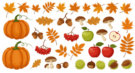 Autumn harvest elements with pumpkins, leaves, mushrooms, acorns, and fruits