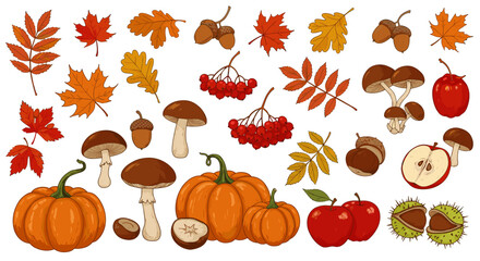 Autumn collection: pumpkins, leaves, acorns, mushrooms, and apples in hand drawn style