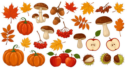 Autumn harvest collection: pumpkins, mushrooms, leaves, and fruit