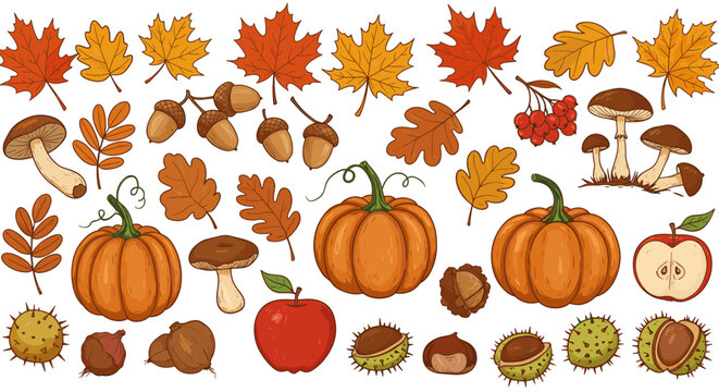 Autumn harvest set with pumpkins, leaves, acorns, and mushrooms in hand-drawn style