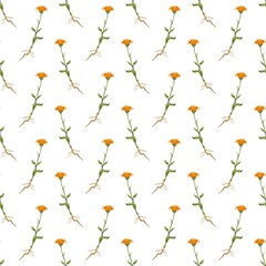 Pattern of delicate orange flowers on a white background creating a vibrant and lively design