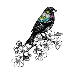 Colorful bird is perched on a blossoming branch, isolated on white background