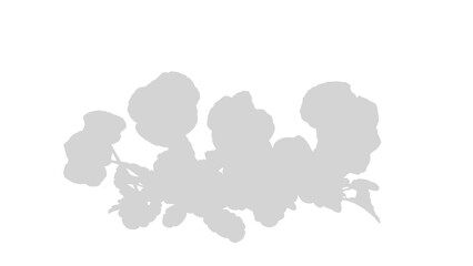 shadow A bouquet of roses isolated on transparent background