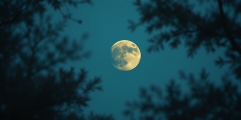 full moon glowing brightly in a clear night sky framed by dark tree branches and foliage