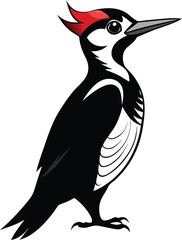 vector illustration of a bird