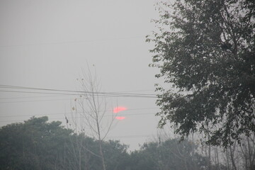 Bare trees and dense foliage frame a vivid pink sun setting against a hazy, gray sky. 