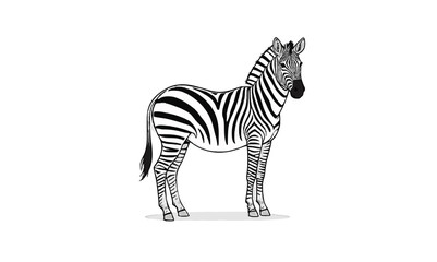 "Realistic Zebra Line Drawing – Black and White Wildlife Coloring Page for Kids"