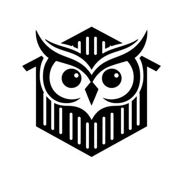 owl on a white background