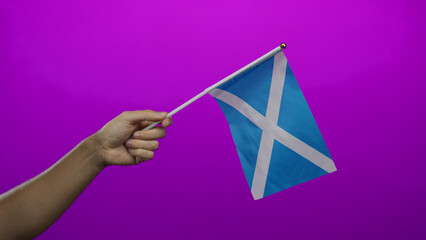 Hand holding scottish flag against vibrant pink wall, representing national pride and celebration...