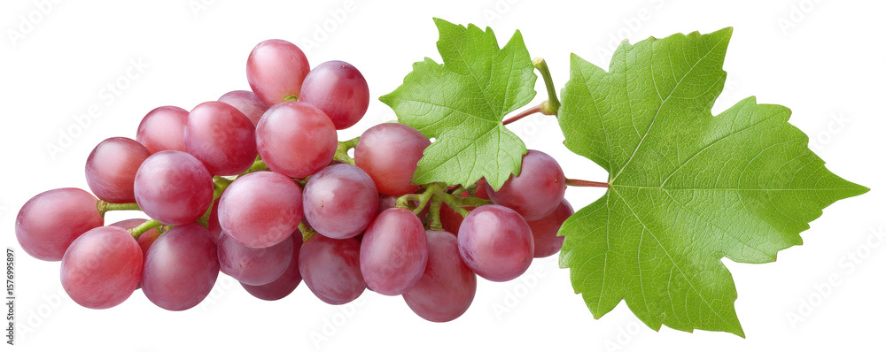 Poster red grape cluster isolated on transparent background with green leaves showing freshness