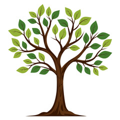 Obraz premium Green leafy tree in flat illustration style on white background 