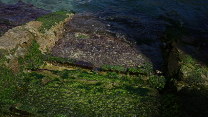 Shoreline with clear water gently washing over sunlit green algae-covered rocks at the edge of a tranquil outdoor beach location.