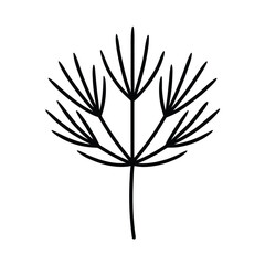 Dill Sprig Outline Vector Illustration